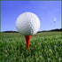 10er-Pack 2-lagige Trainings-Golfbälle – kostenloser Versand