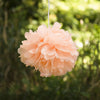 Peach Tissue Paper Pompom - cnsunbeauty