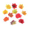 Assorted Mixed Fall Colored Artificial Maple Leaves-50Pcs Free Shipping - Sunbeauty