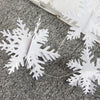 3D Snowflake Garland - Sunbeauty