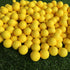 Paquete de 10 pelotas de golf ligeras de entrenamiento de colores, envío gratuito
