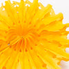 Yellow Snowflake Tissue Paper Fans/Pinwheel - cnsunbeauty