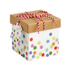 Colorful Pattern with Cover Gift Box - Sunbeauty