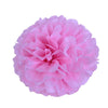 Pink Tissue Paper Pompom - cnsunbeauty